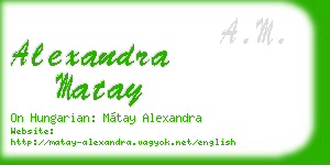 alexandra matay business card